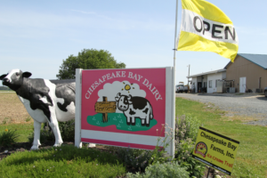 Locally Made Grown-Pocomoke-Chesapeake Bay Farms-Sign-2019