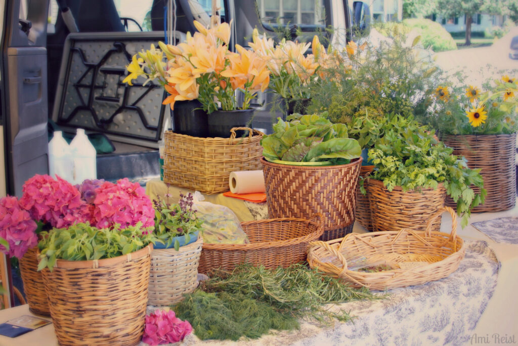 Baskets of plants at berlin's farmers market