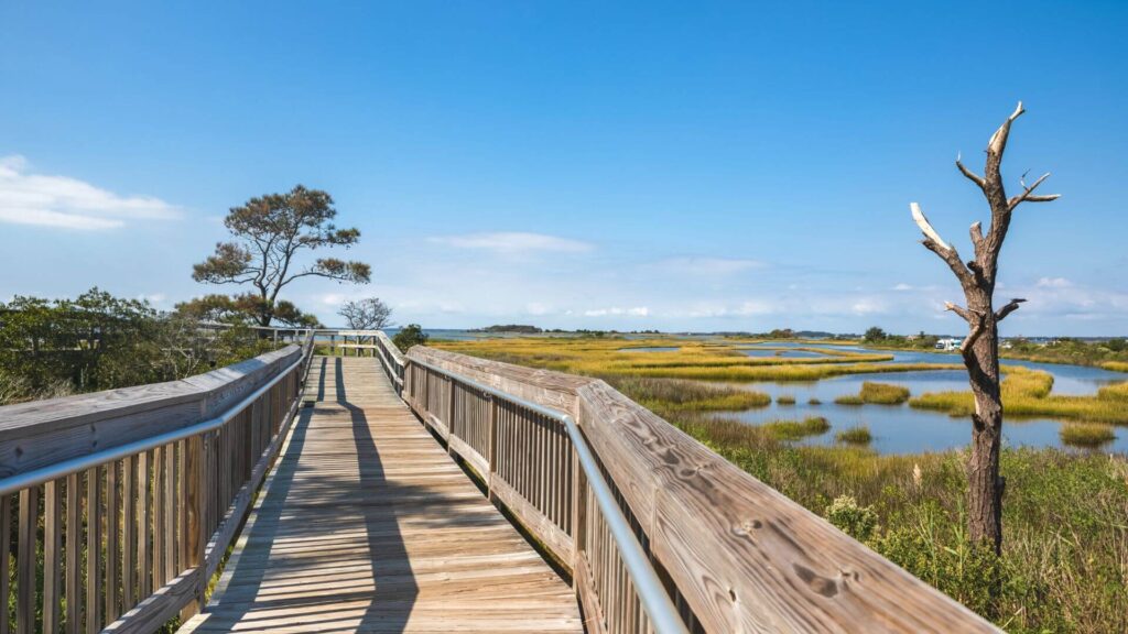 Beautiful water and marsh views at Life of the Forest Nature Trail at Assateague Island