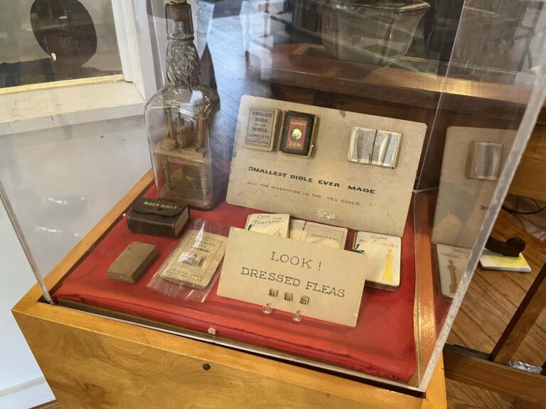 Julia A Purnell Museum