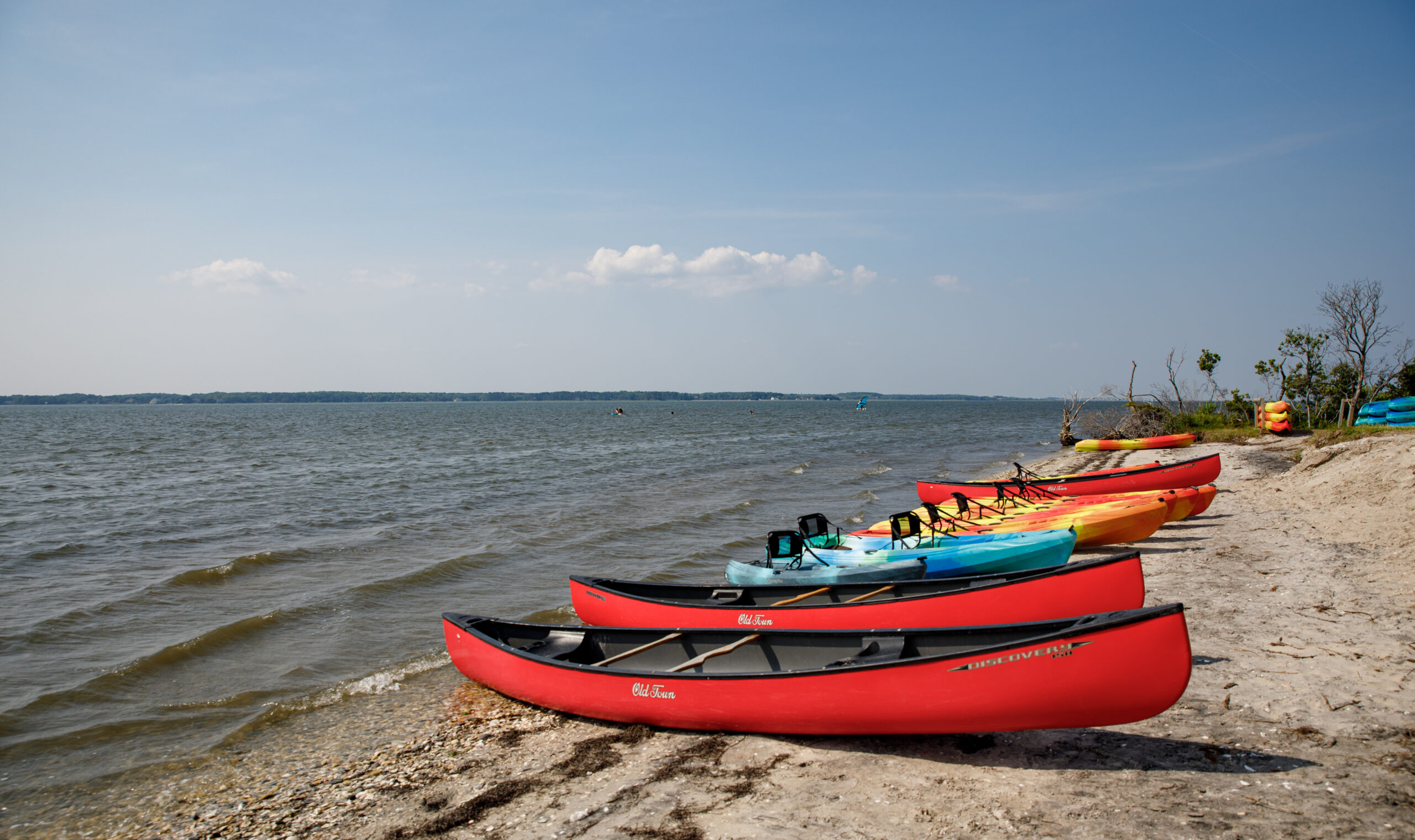 kayaks